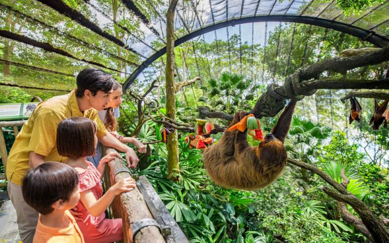 Các gia đình có bé nhỏ cực kỳ thích đến sở thú khi đến Singapore.