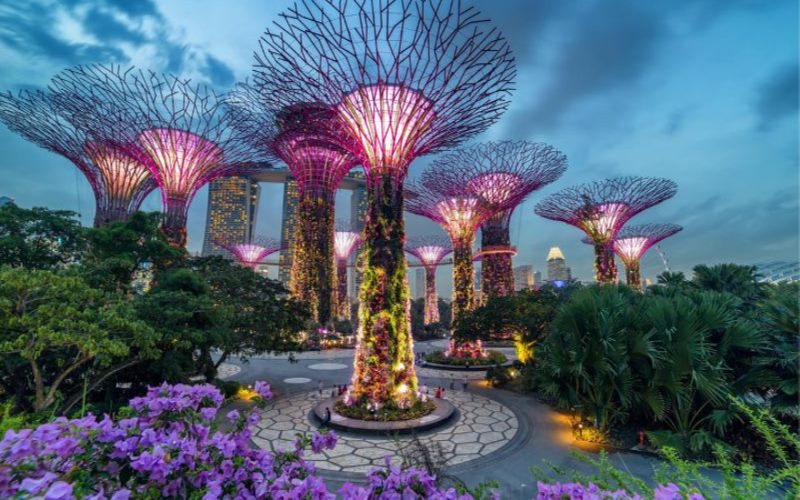 Khu vườn trên mây Garden by the Bay là cảnh đẹp Singapore “độc nhất vô nhị”.