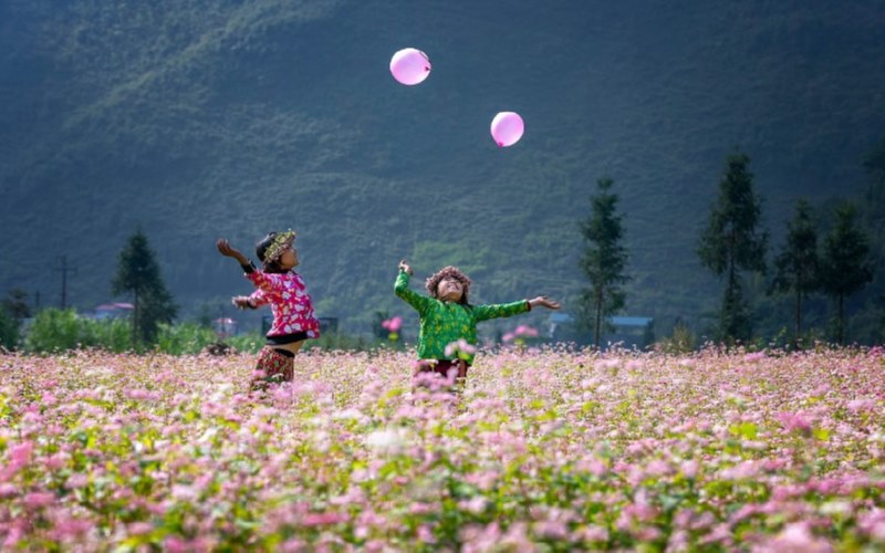 Lễ hội hoa tam giác mạch là sự kiện du lịch lớn mỗi năm của Hà Giang